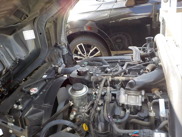 Toyota Dyna 2023 - White