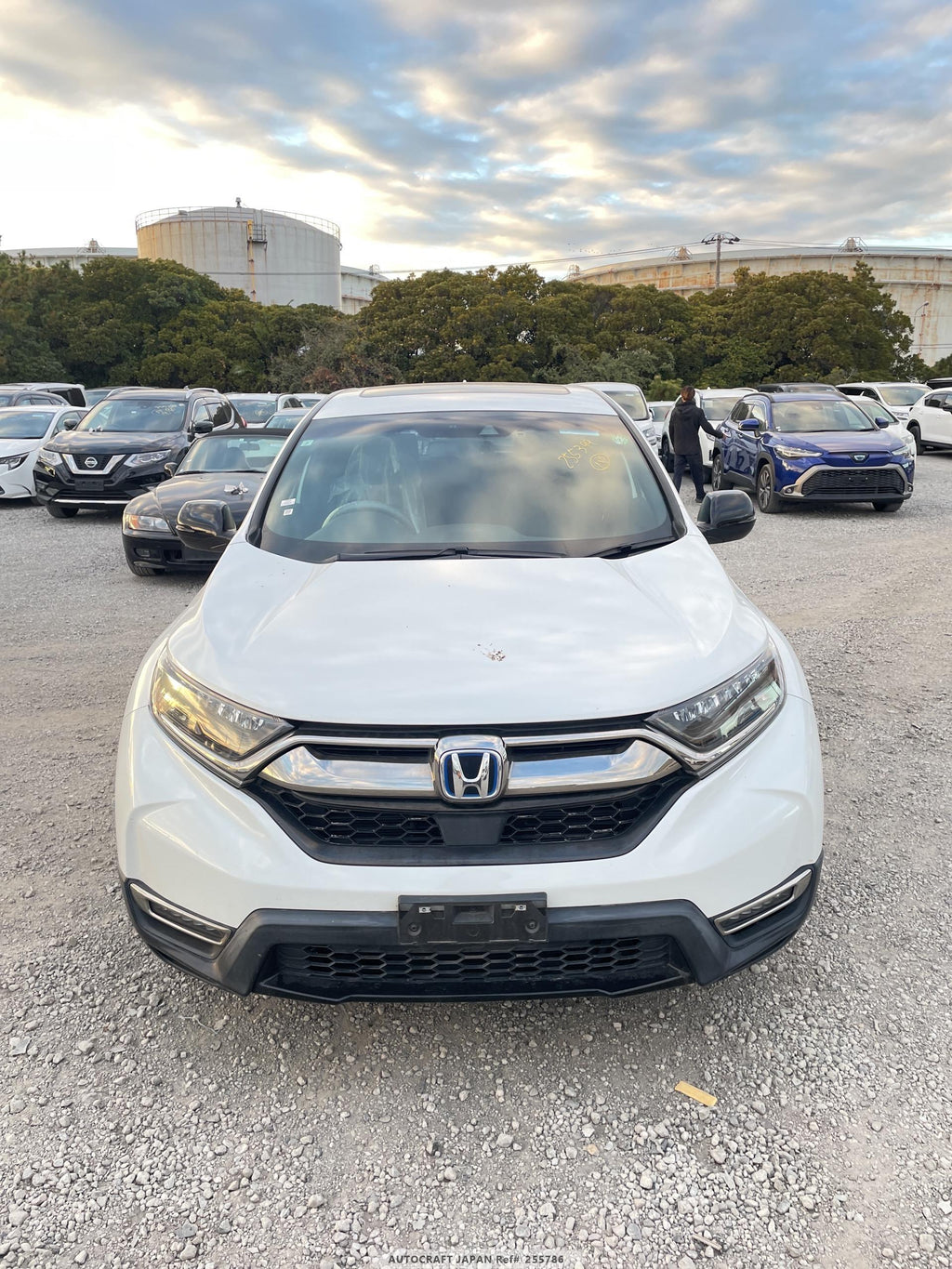 Honda Cr-v 2021 - Pearl White